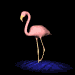 flamingo_stand_sm_blk.gif