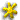 star-08.gif