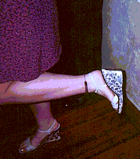 stef's_shoes.gif